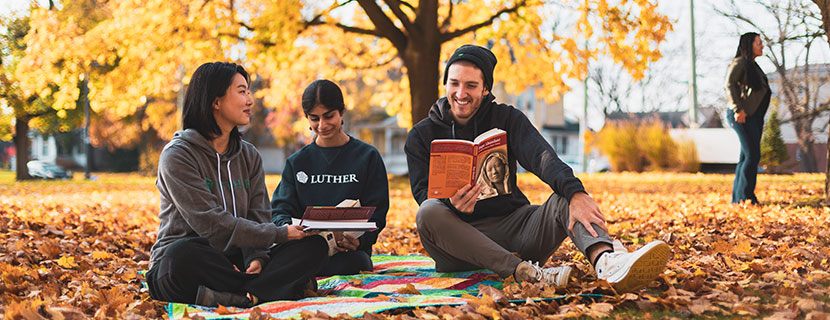 Students studying outside.