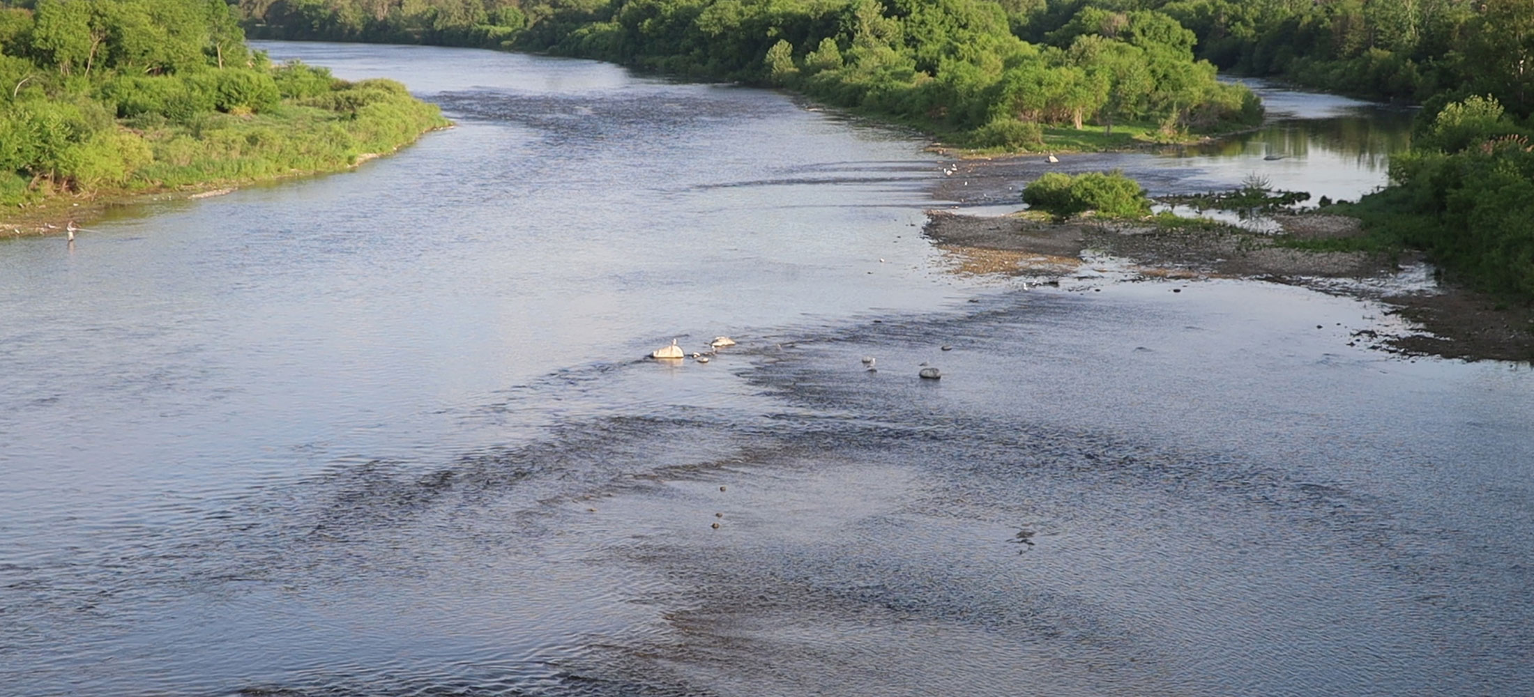 Grand River in Ontario