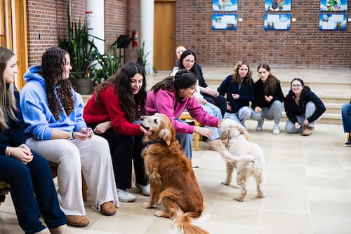 Students with dogs