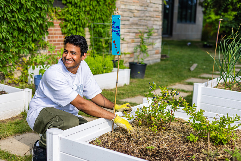 Student planting in garden