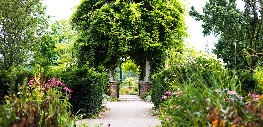 Trail with flower garden and plants