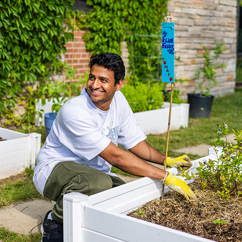 Student gardening