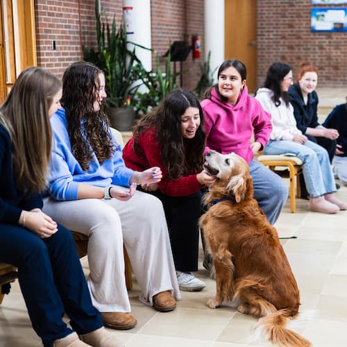 Students petting dog