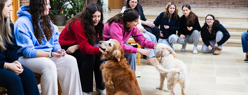 Students playing with dogs in chapel space