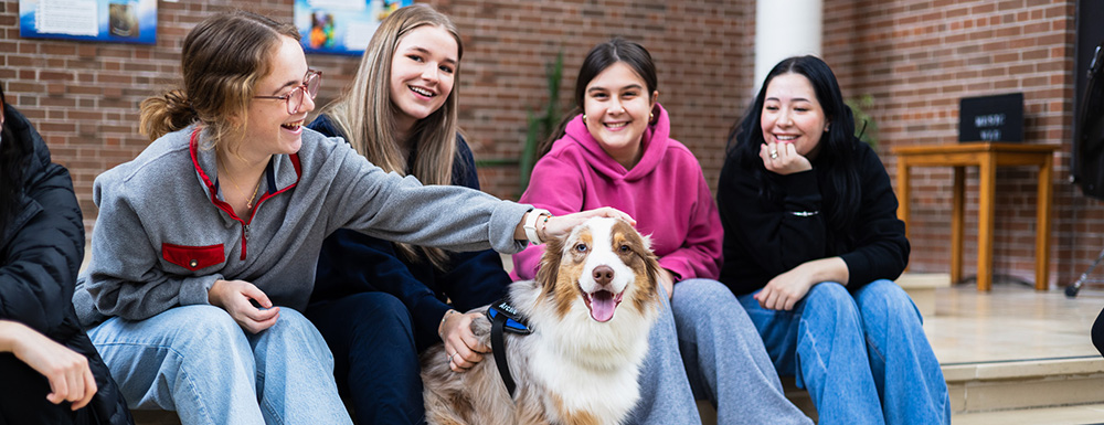 Dogs and students playing together