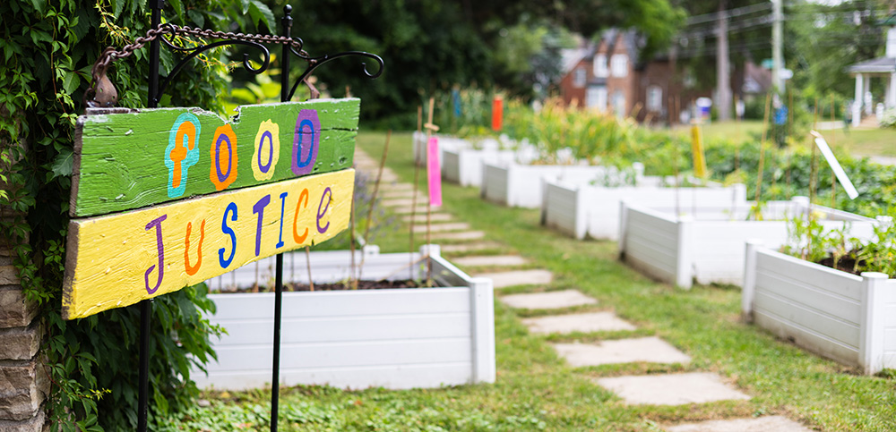 Vegetable garden on the side of campus