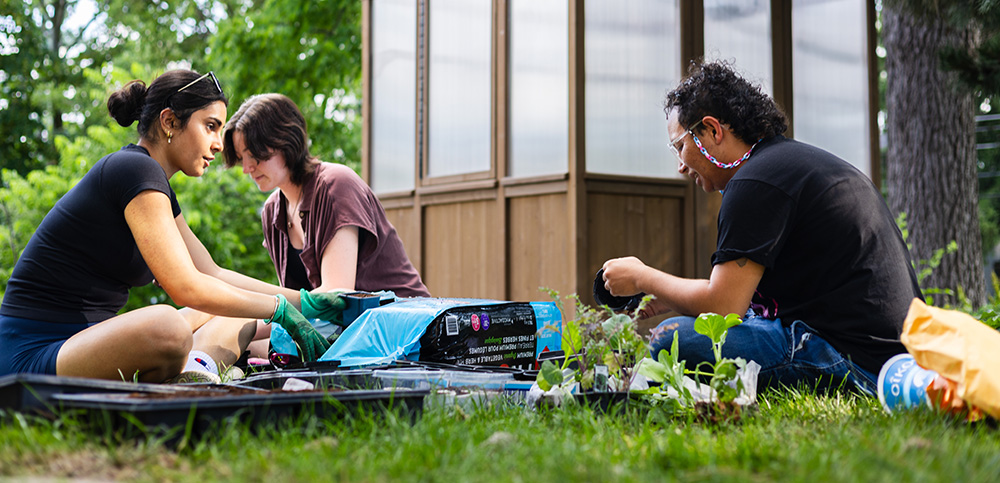 Students gardening