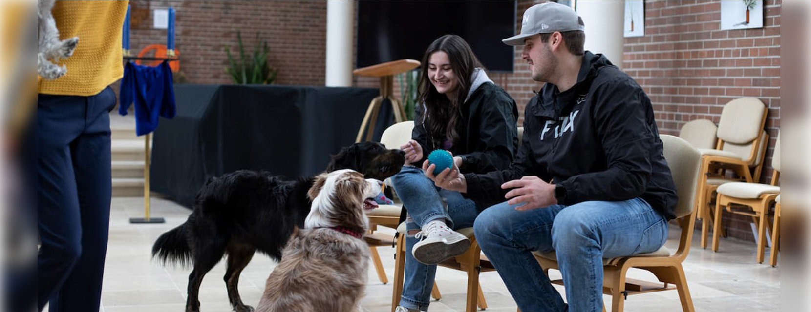 Students participating in Chilling with Dogs